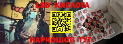 мяу мяу мука Тула