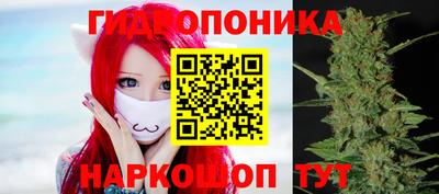 шишки Тулун