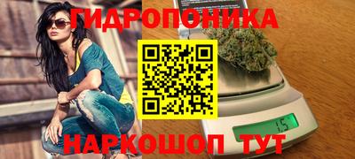 мяу мяу мука Тула