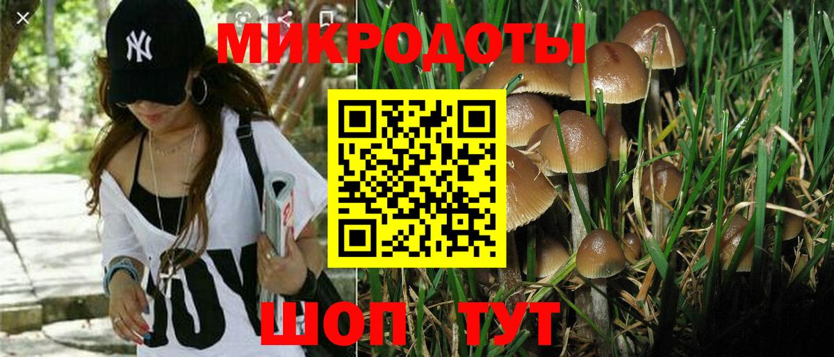 Псилоцибиновые грибы Psilocybe Алексин
